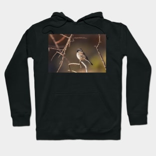 Black-throated Sparrow Hoodie